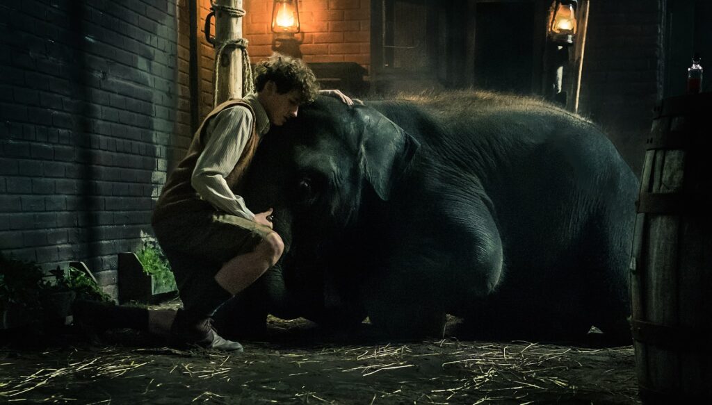 zoo