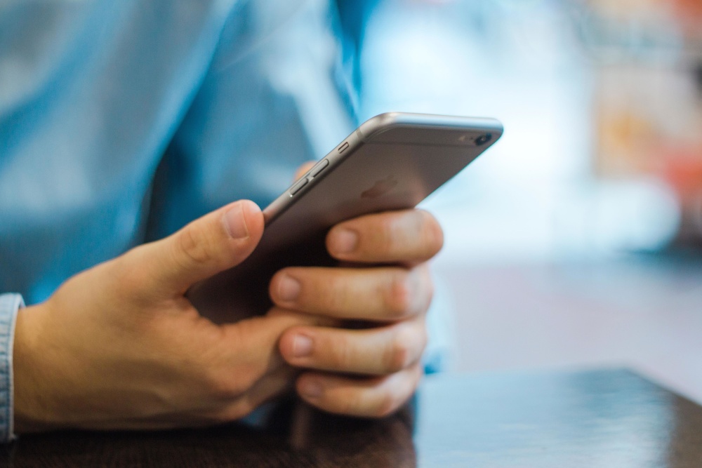 phone in traveller hand